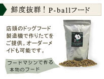 �N�x���Q�I�yP-ball�z�t�[�h