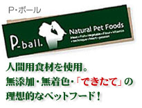 �yP-ball�z�l�ԗp�H�ނ��g�p�B���Y���E�����F�E�ł����Ă̗��z�I�ȃy�b�g�t�[�h�I