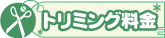 �g���~���O����