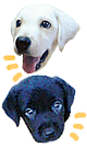 �g���e�ƃe�B�A��